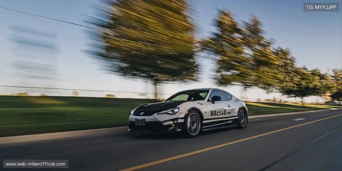 🎯 精准直播，互动不停！💬